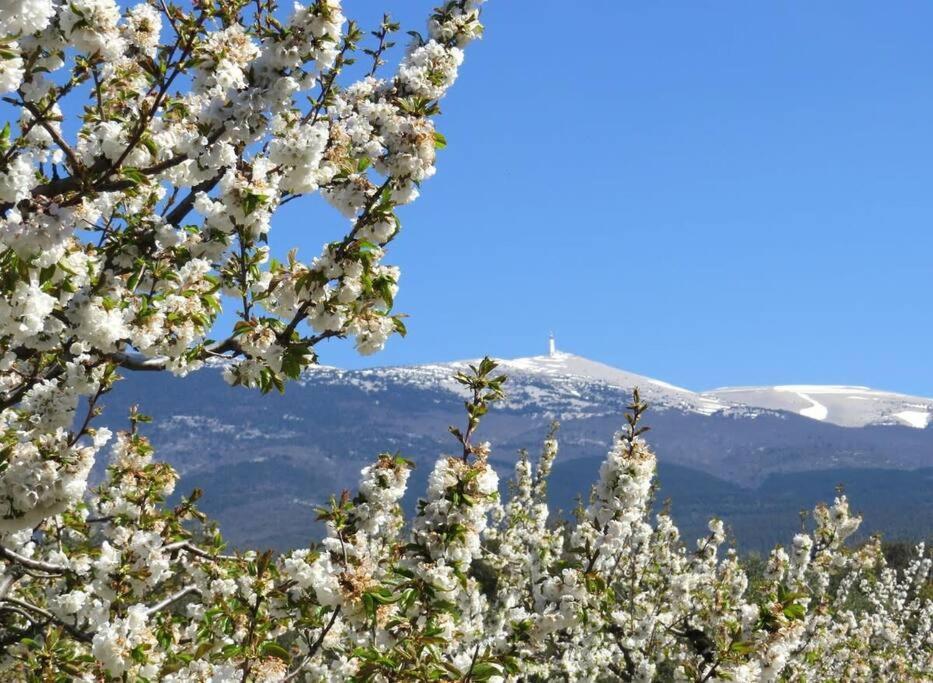 Les Tarraiettes Au Pied Du Luberon Villa Lourmarin Bagian luar foto